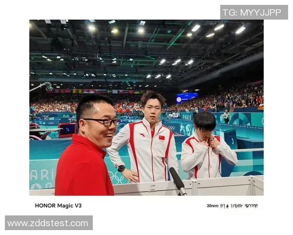 杭州排球队的崛起之路联合会杯背后的奋斗与荣耀